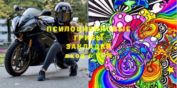 винт Алзамай