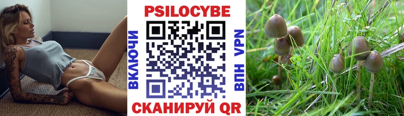 Псилоцибиновые грибы Psilocybine cubensis  Ирбит 