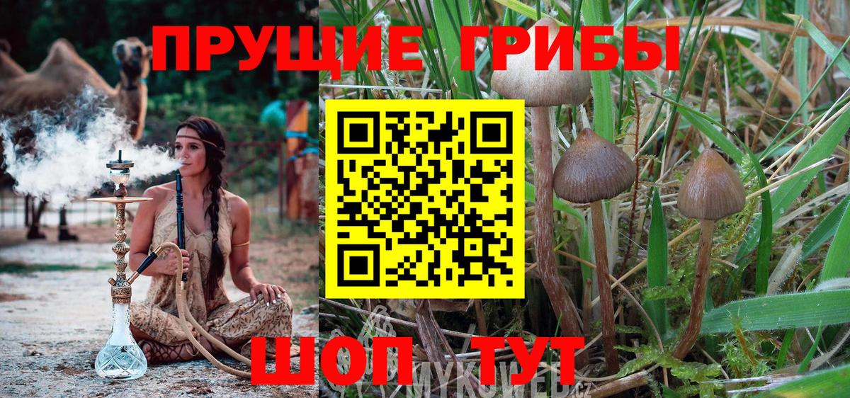 Галлюциногенные грибы Psilocybine cubensis  Псилоцибиновые грибы Psilocybine cubensis  Вход с VPN  Ирбит 