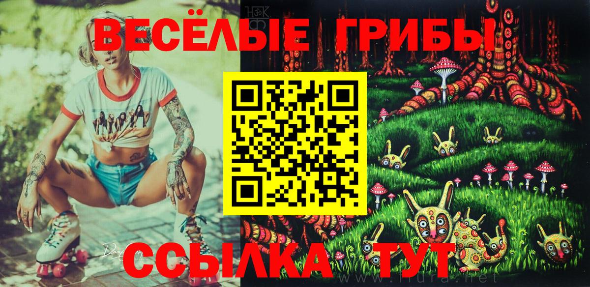 Псилоцибиновые грибы Psilocybe Ирбит